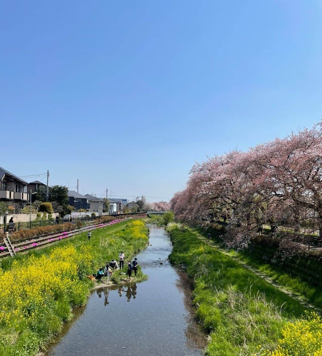 土屋太鳳さんのインスタグラム写真 - (土屋太鳳Instagram)「今日の東京の空は、おだやかでした。 でもおだやかな分、 大きな寂しさを感じます。 . 写真は、 #木10 「 #やんごとなき一族 」 第3話で登場した場面のメイキング。 . 佐都が深山家へと向かうスタートの時期には 「桜」がすごく大きな意味を持っていて 鍵となるアイテムの一つでしたが、 桜は1年に1回しか咲かない。 だから、 その1回の貴重な時期に 本物の桜や菜の花と共演出来たことは 本当にものすごく贅沢な、 しあわせなことでした。 そして 人と御一緒する御縁は 本当にかけがえのない宝物です。 . 佐都が健太と出会えたのは 佐都自身の魅力もあるけれど 佐都を育ててくれたお母さんや まんぷく食堂の常連のお客さんたち、 家族のような存在の ロクさん、源さん、八さんが素敵だったから。 . 佐都もだけれど私自身も 新しい作品と現場がスタートする時期に どんなに励まされたか、 どんなに心強かったか… 「きっと実家で佐都も、こう感じてたんだろうな」という その実感が 佐都の役作りの一歩になりました。 . 賑やかな中にも柔らかな雰囲気と、 あたたかな人情味溢れる演技。 御一緒出来たことを心から感謝しています。 桜が咲いたあとも 桜の美しさが永遠に心に残るように、 この感謝の気持ちは、永遠に変わりません。 感謝を込めて祈りたいと思います。」5月11日 22時19分 - taotsuchiya_official