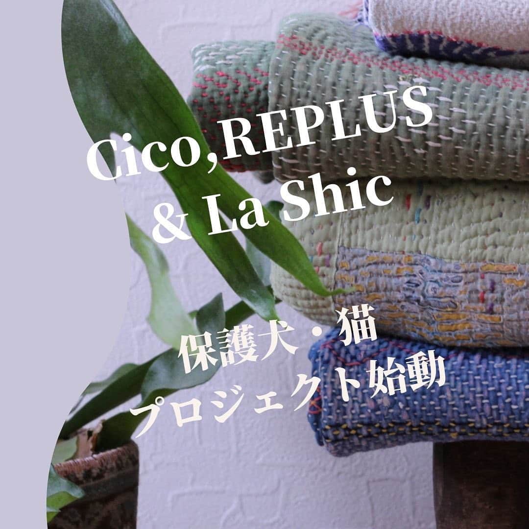 REPLUSのインスタグラム