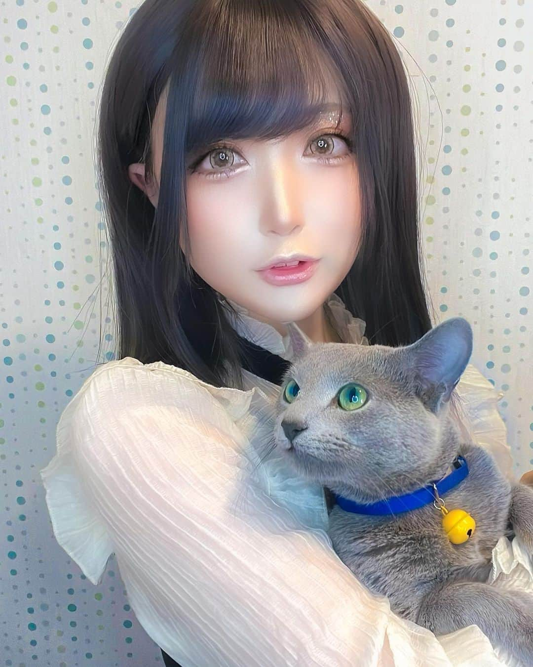 華密美琉さんのインスタグラム写真 - (華密美琉Instagram)「ナイトくんとカモミール🐱🌼 イケネコのネコチャンだよ〜！！  #russianblue  #russianbluecat  #russianbluecats  #russianbluesofinstagram  #russianblueworld  #ロシアンブルーの男の子  #ねこすたぐらむ  #ロシアンブルー #ねこのいる生活  #猫のいる暮らし  #猫好きさんと繋がりたい  #猫好き  #猫写真  #猫好きな人と繋がりたい  #ネコスタグラム  #ネコ  #ねこ部  #ねこ写真  #猫の日  #猫と暮らす  #猫がいる幸せ  #ネコ写真  #ロシアンブルー好き  #ロシアンブルー男の子  #愛猫  #愛猫との暮らし  #猫派  #コスプレイヤーカモミール  #コスプレイヤー  #コスプレ女子」5月11日 17時26分 - chamomile_chami