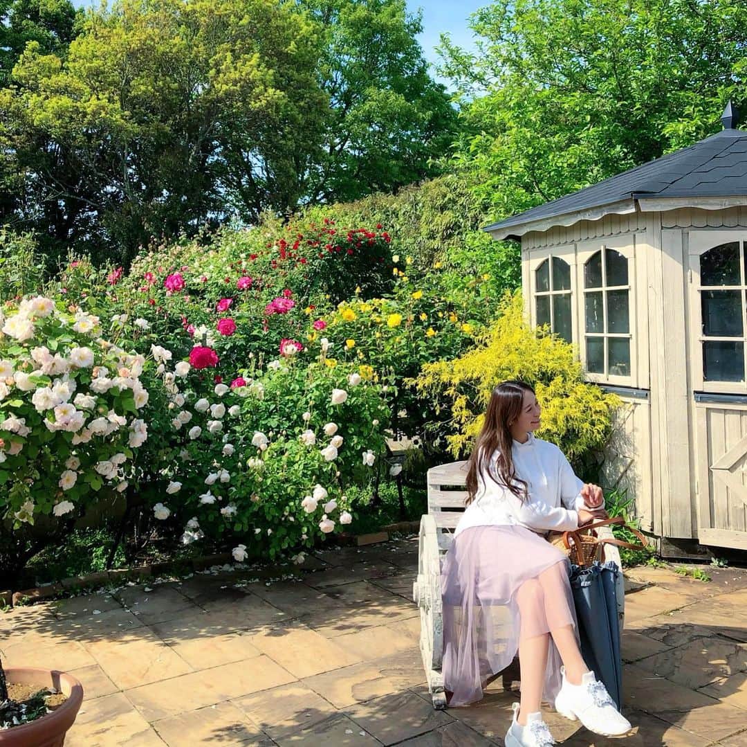 のインスタグラム：「我が家のお庭へようこそ笑  （うそです） こんなお庭の家に将来したいな☺️  でも、薔薇って手入れ大変みたい😅　できるかな笑  薔薇の歴史も知れてとっても楽しかった🤗 撮影はお義母さんでテーマは私のお庭で色々撮ってくれました♪笑  千葉県民は是非💓」