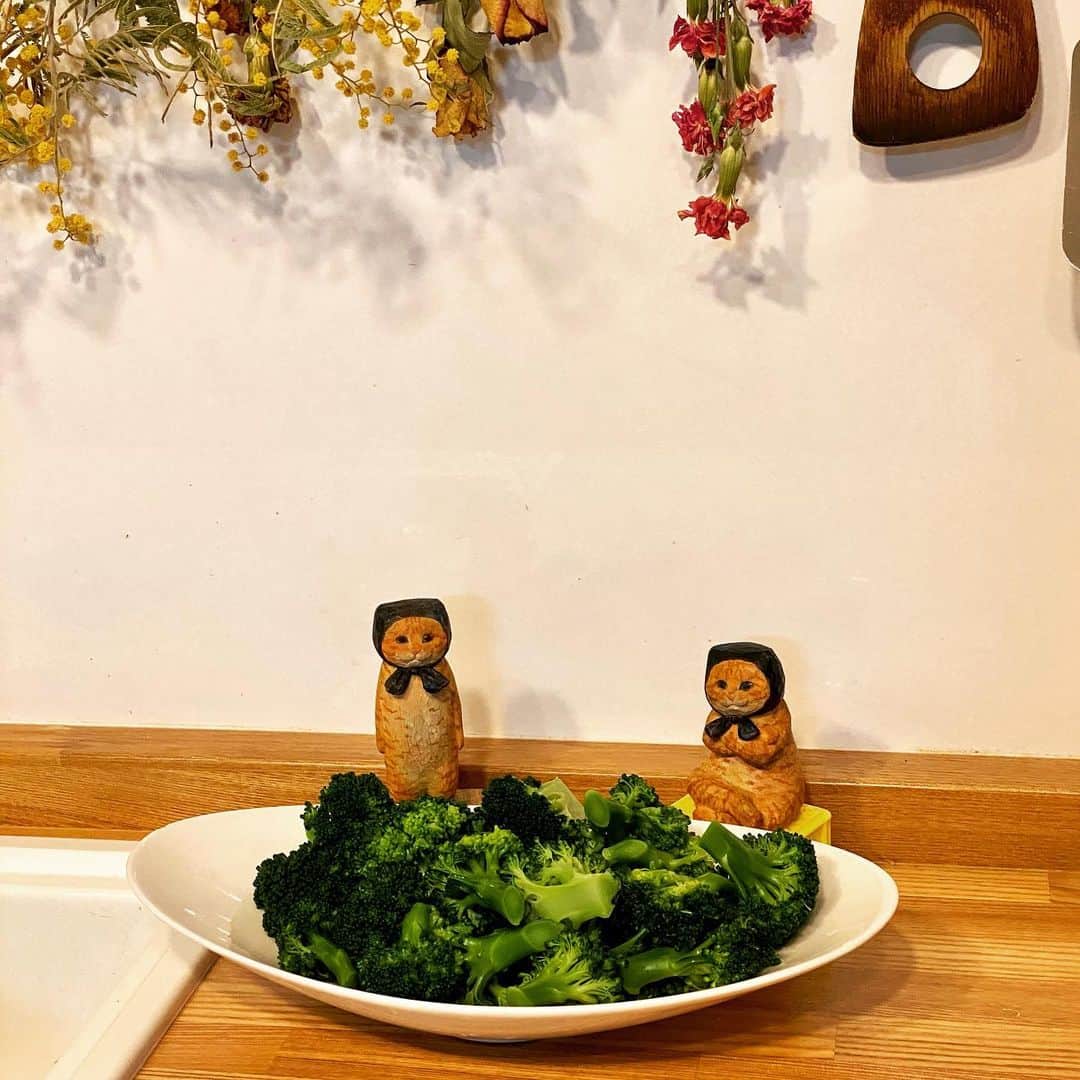 花房さくらさんのインスタグラム写真 - (花房さくらInstagram)「採れたてのブロッコリー🥦 嬉しい！オイシイ！！  淡路島に住み始めたからか、自分の味覚が成長したからか、野菜はシンプルに煮たり焼いたりするだけが一番美味しいのではないかと思うようになってきた。  #broccoli  #cat #sculpture #hanafusasakura」5月11日 18時56分 - sakura_hanafusa