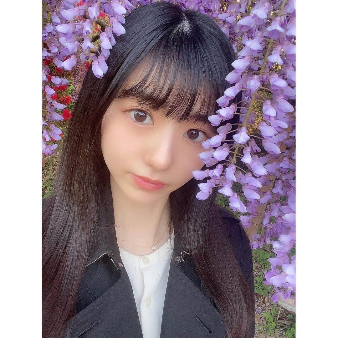 大島璃音のインスタグラム：「藤の花🍇 本当に本当に美しかった！ 近くで写真撮ると甘い香りがしました🐝  GW終わってしまうと写真を見て思い出に浸りがちですよね〜📸」
