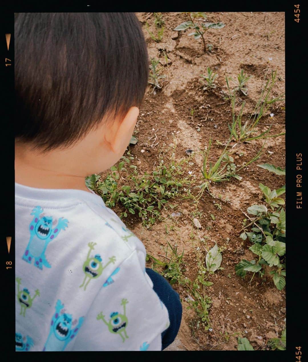 長澤奈央さんのインスタグラム写真 - (長澤奈央Instagram)「次男坊 一日中蟻の観察 #一歳7カ月 #3番目次男坊 #虫好き #アリを見つけては立ち止まる」5月11日 22時06分 - nagasawana_official