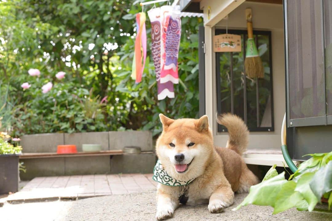 Ryujiさんのインスタグラム写真 - (RyujiInstagram)「Good morning.😄 おはようございます🍞 #焼き上がりました#bltバーガー#にこじ#御庭番#しっとりな朝#pancakes#macho#hapyboy#nakedgeneral#goodmorning#おはよう」5月12日 7時34分 - ryuji513