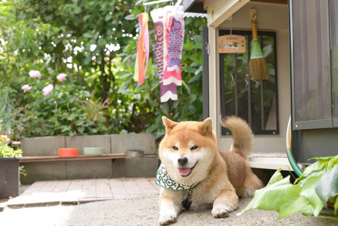 Ryujiさんのインスタグラム写真 - (RyujiInstagram)「Good morning.😄 おはようございます🍞 #焼き上がりました#bltバーガー#にこじ#御庭番#しっとりな朝#pancakes#macho#hapyboy#nakedgeneral#goodmorning#おはよう」5月12日 7時34分 - ryuji513