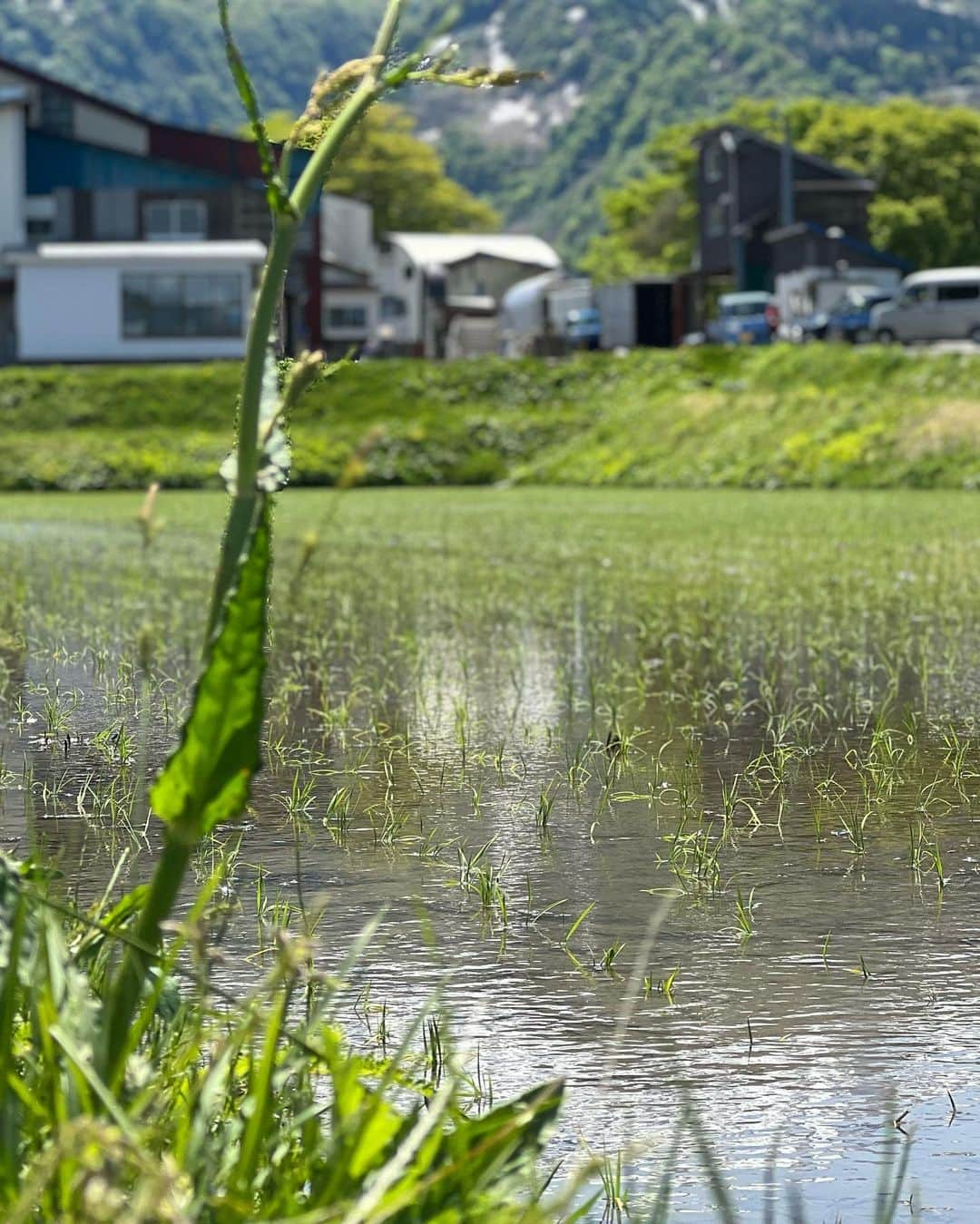 秋山真太郎のインスタグラム