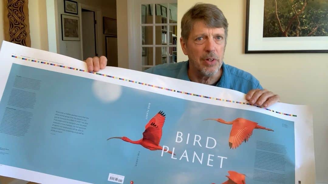 Tim Lamanのインスタグラム：「I’m excited to share the cover proofs for my new book BIRD PLANET, a collection of my best bird photography from all over the world.  See the link in bio to learn about a special offer for a signed edition bundled with a print.  This offer is limited to 100 copies, and half of them were already snapped up, so order now if you are interested.  Books will ship in October.  Thanks for your interest!  Wild birds are ambassadors for a healthy environment - help spread the word! #TimLaman_BirdPlanet #birds #birdphotography」