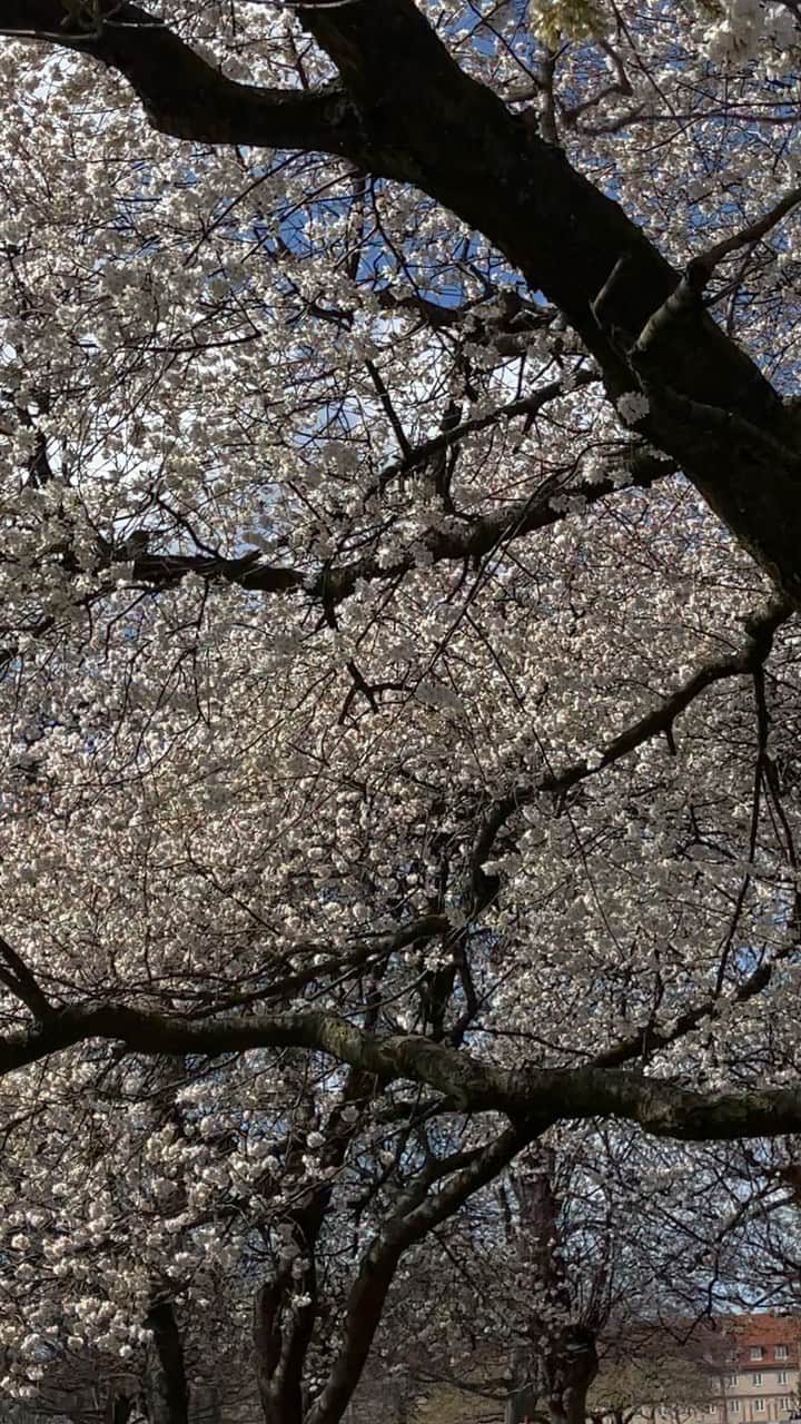 Mathilde Goehlerのインスタグラム：「Nothing better than changing seasons 🥹」