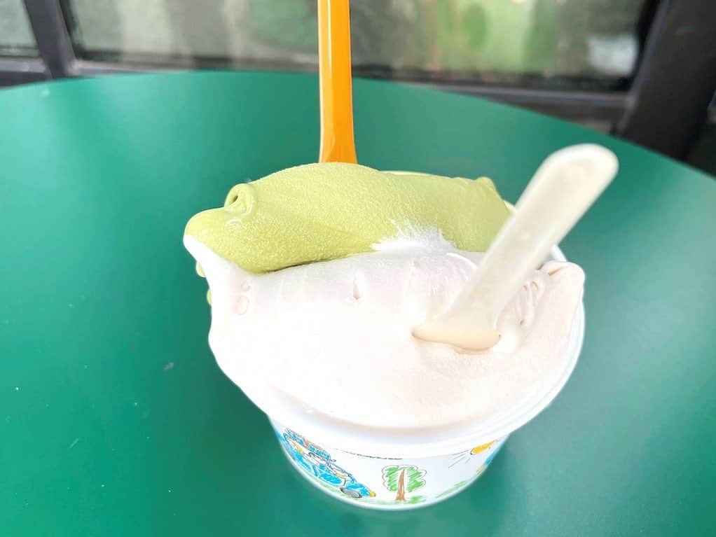 ALOHA☆GIRL 【アロハガール】のインスタグラム：「カカアコに新オープンしたイタリアンジェラート店「7GRADI」へ行ってきました🧡@7gradi.gelato  2022年4月末にオープンした「7GRADI」。お店で作る本格派ジェラートはクリーミーで濃厚！人気スイーツスポットになること間違いなしです。  https://alohagirl.me/I0002476  #alohagirl #mahalo #hundreddreams #ハワイ #ホノルル #オアフ #ワイキキ」