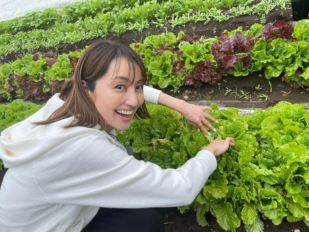 矢田亜希子さんのインスタグラム写真 - (矢田亜希子Instagram)「今日は朝4時起き‼︎ どこにきているでしょう？！ #ロケ#景色最高#今週は早起き週間」5月12日 12時55分 - akiko_yada