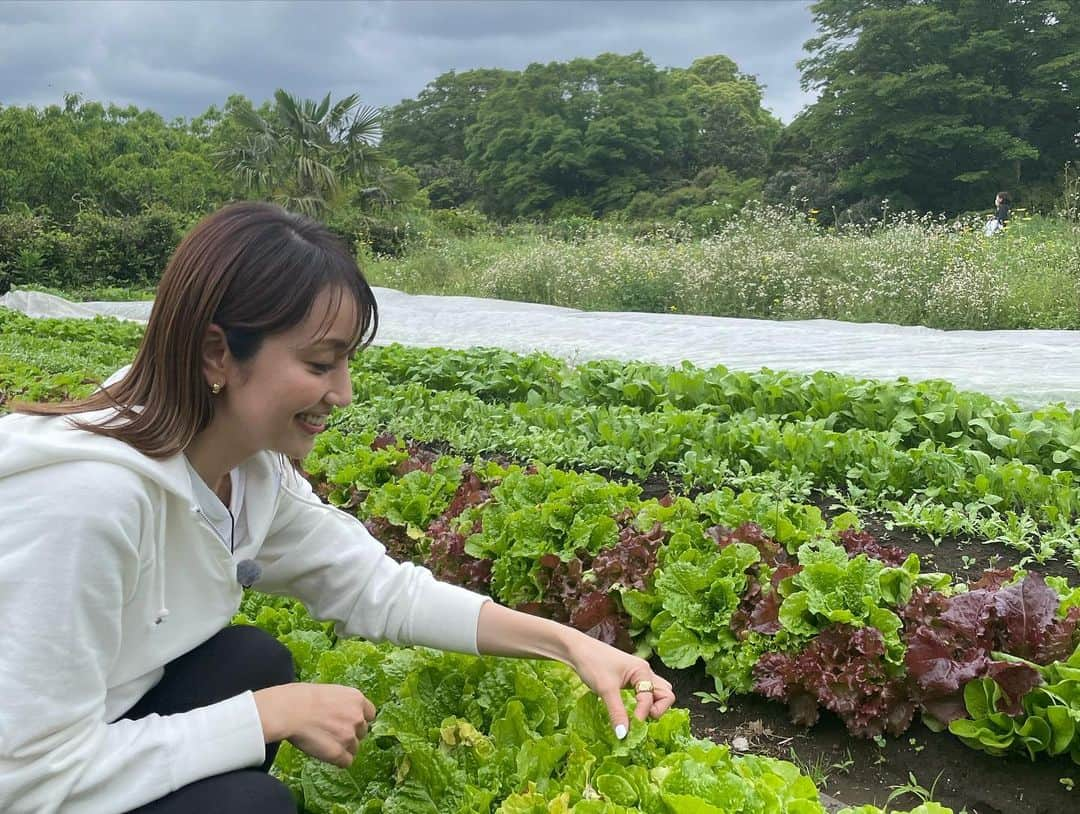 矢田亜希子さんのインスタグラム写真 - (矢田亜希子Instagram)「今日は朝4時起き‼︎ どこにきているでしょう？！ #ロケ#景色最高#今週は早起き週間」5月12日 12時55分 - akiko_yada