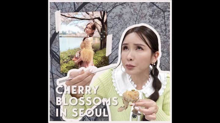 ジェイミー・チュアのインスタグラム：「🌸 Needed to destress after the move so I took a quick trip to Seoul! My Korea travel vlog is finally up on my channel, watch me fan girl over the cherry blossoms and devour my absolute fave raw crabs! Click the link in bio to watch this!」