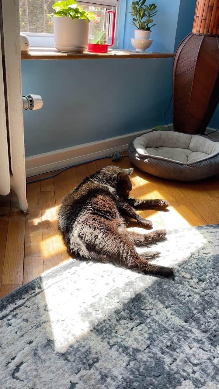 スコット・ローウェルのインスタグラム：「Sunbathing 🌞 👅」
