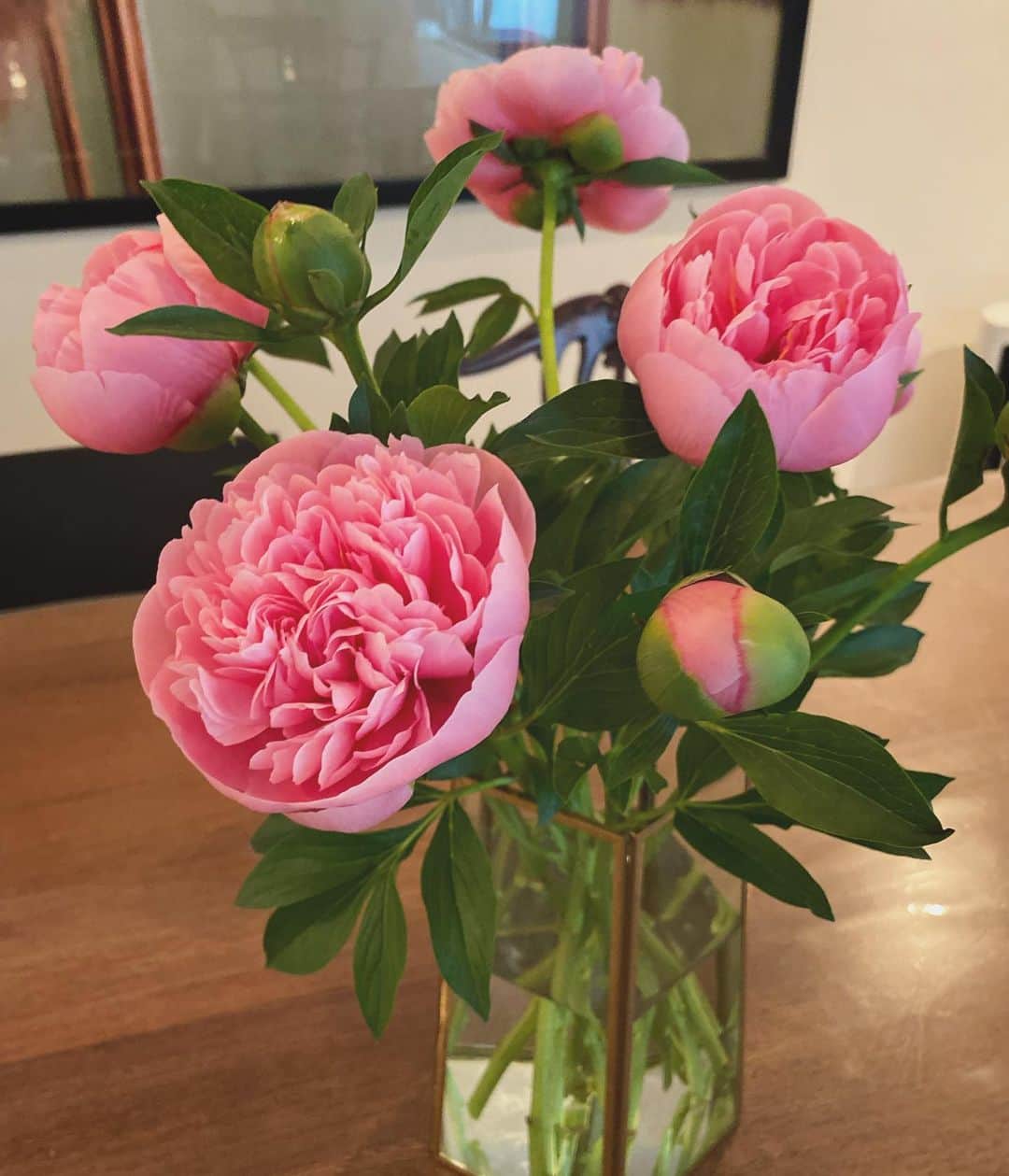 畑野ひろ子のインスタグラム：「今日は、市場の仕入れからスタート😊  市場でも、一際目立つ芍薬。 美しすぎる♡♡♡ サーモンピンクよりのエッチドサーモン。」