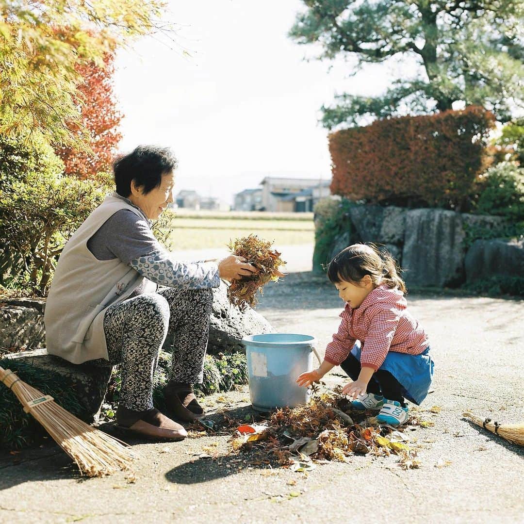 kazuyukikawaharaさんのインスタグラム写真 - (kazuyukikawaharaInstagram)「I sow the seeds here with faint light. ・ #かそけきひかりのたねを蒔く」5月13日 20時49分 - kazuyukikawahara