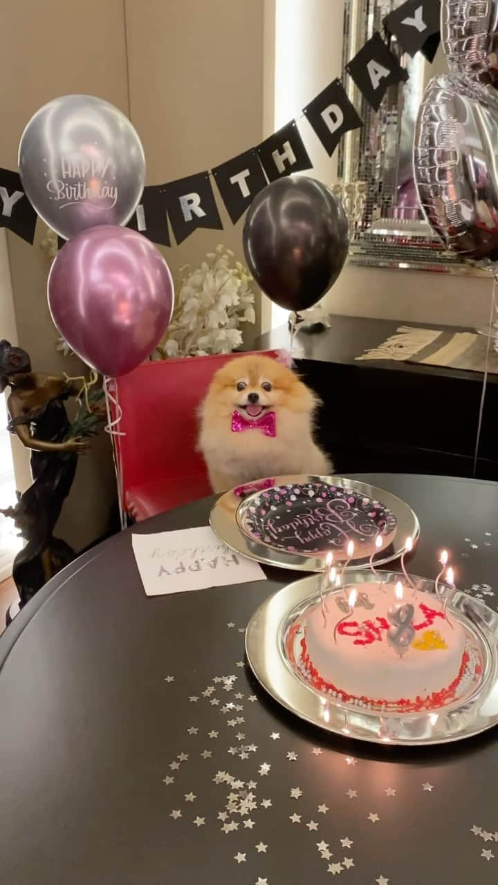 Shilaのインスタグラム：「I am 8 years old todayyy 🎉🎂🎊🎈.. Happy Birthday to meeee! 🥳..Join my pawty!! 😄🎉🎂」