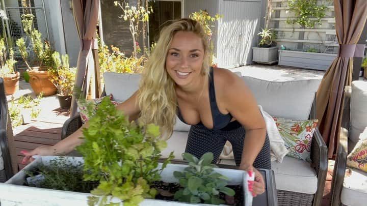 Sydney A Malerのインスタグラム：「I’m thinking of starting a series called Garden HoesOnly 😂 Today I’m trimming up Cilantro if y’all want some help with ur cilantro. Link in bio if u want to watch.   I also go over compost bins, strawberries, & basil In other videos」