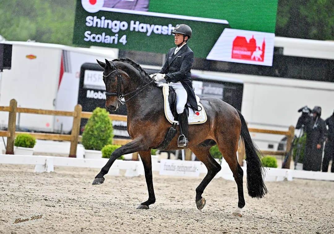 林伸伍のインスタグラム：「CDI Redefin3☆ Scolariと６位入賞👍️ 誰かの行いが悪いのか出番直前に当然大雨が降ってきましたがScolariはいつも通りのパフォーマンスを見せてくれました！ 日曜日は自由演技、更に上を目指して頑張ります💪 @penacova1990 @equinet.official  #馬術 #馬場馬術 #馬 #乗馬  #スコラリ #horse #dressage #equestrian  #horseriding #horsesofinstagram #scolari」