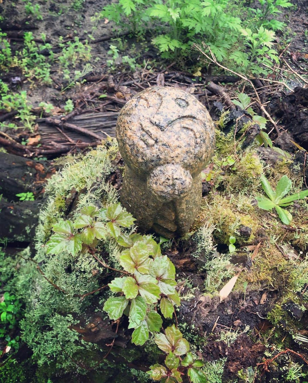 今井洋介さんのインスタグラム写真 - (今井洋介Instagram)5月14日 11時22分 - y_den1231