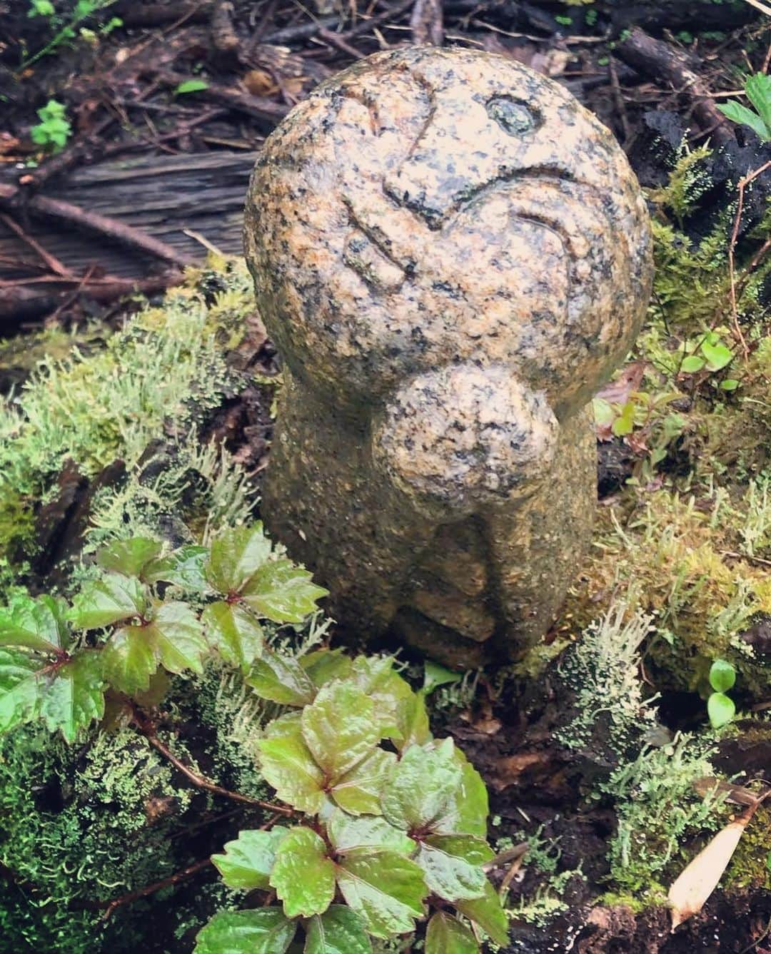 今井洋介さんのインスタグラム写真 - (今井洋介Instagram)5月14日 11時22分 - y_den1231