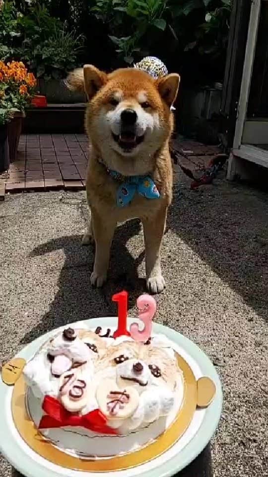 Ryujiのインスタグラム：「Thank you so much for your birthday wishes‼️😋」