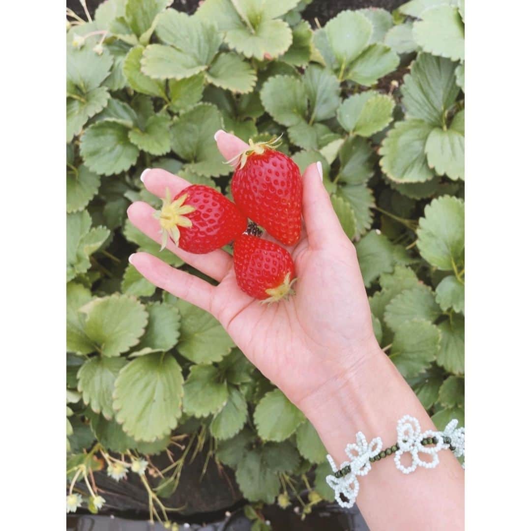 紗栄子のグルメインスタ