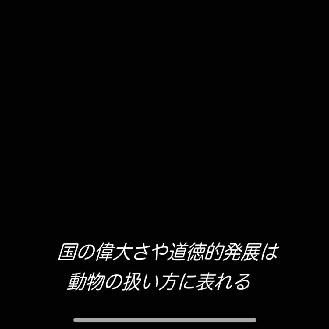 sakura midorikawaのインスタグラム：「ガンジーの格言とも言われているが 記されていない説もあるらしい まぁどちらでもいい これは間違いない 私の生きる時代は歴史の一点でしかないが 時間をかけて菜食主義も日本で深く理解される日が来たら良いな」