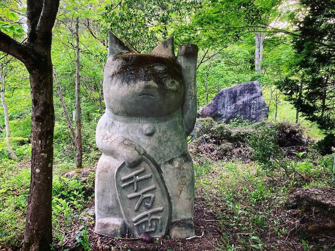 タニザワトモフミのインスタグラム：「#招き猫」