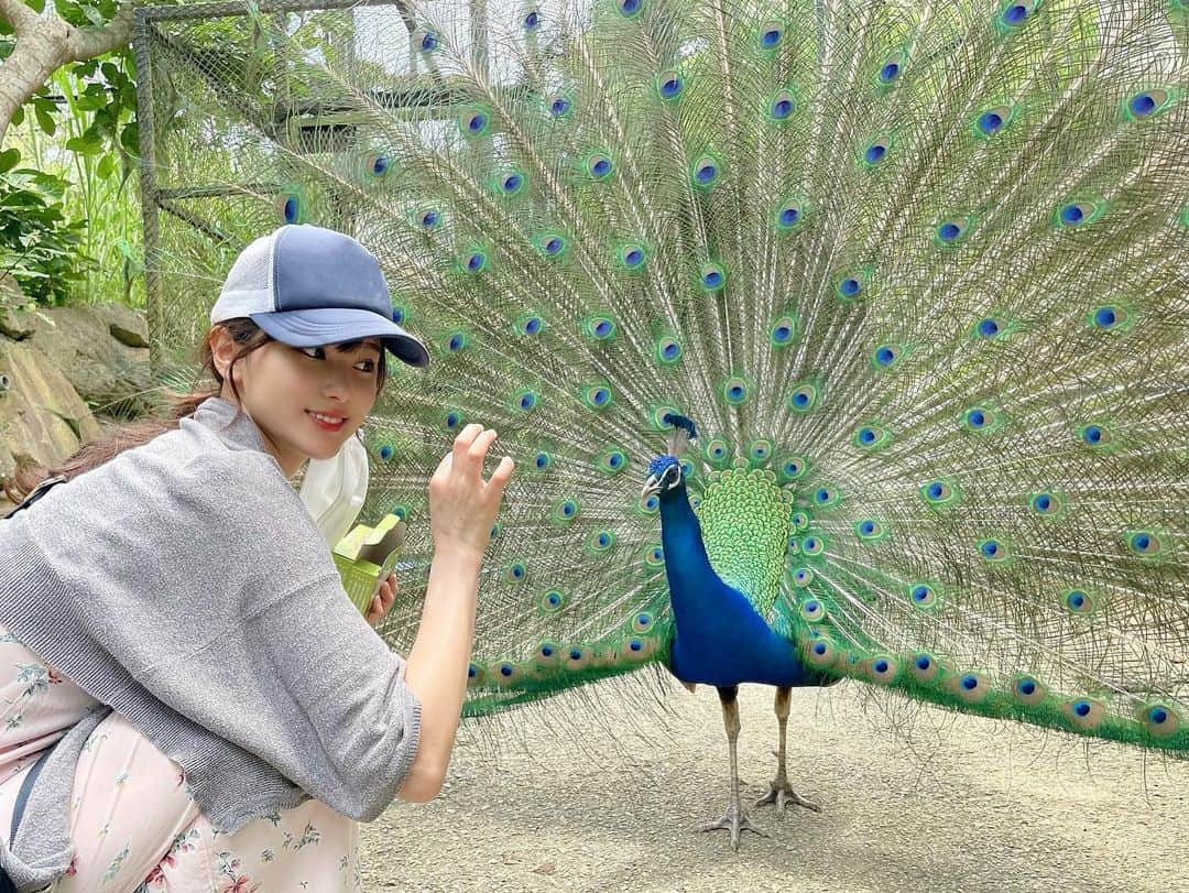 西原愛夏のインスタグラム：「鳥圧すごい🐦  ファンクラブのブログ『沖縄旅行blog②』、 ショートムービー 更新しました🥰写真たくさん( ´-` ).｡oO  チラ見せっ  ハーフアップ°ʚ🎀ɞ°.  ✧*̣̩⋆̩ｰｰｰｰｰｰｰｰｰｰｰｰｰｰｰ最新告知ｰｰｰｰｰｰｰｰｰｰｰｰｰｰｰｰｰｰｰｰｰｰ✧*̣̩⋆̩☽  💓 週刊現代 電子写真集 ｢あ〜んして｣ 発売中！  【5月】 5 ミッドナイト競輪 20時30分〜 7 競輪特番SP 14時〜 8 ミッドナイト競輪 19 ミッドナイト競輪 21 事務所主催 BBE 撮影会 30 週刊現代 グラビア4P 掲載  【6月】 1日 ネットサイト｢現代ビジネス｣ 記事up 18日 大阪 チャンス撮影会  ✧*̣̩⋆̩☽⋆ｰｰｰｰｰｰｰｰｰｰｰｰｰｰｰｰｰｰｰｰｰｰｰｰｰｰｰｰｰｰｰｰｰｰｰｰ✧*̣̩⋆̩☽⋆゜  🥀アパレルブランド M collection R (@m.collection2020 ) ♥ オフィシャルファンクラブ 2022.04.01〜 月額750円 💕LINEスタンプ『歯科衛生士アイドル西原愛夏』発売中 📸YouTube ｢まなかちゃんねる｣ 🕊Twitterもやってます✨  ✧*̣̩⋆̩☽⋆ｰｰｰｰｰｰｰｰｰｰｰｰｰその他ｰｰｰｰｰｰｰｰｰｰｰｰｰｰｰｰｰｰｰｰｰｰｰｰ✧*̣̩⋆̩☽⋆゜  【広告】 ･エレアリーナイトブラ 公式モデル 2019~2022年 ･平塚競輪場イメージキャラクター 2021年 ･TBS BlitzIndex「Blitz×ビール」 ･TIFFANY BLUE 川村元気×ティファニー×ゼクシィショートフィルム  【TV】 🌟AbemaTV ミッドナイト競輪 出演中 🌟JNN東北スペシャル 東北全力応援！幸せここだけフード 🌟日テレ ドラマ ｢バベル九朔｣ 石原彩音役 🌟ゴッドタン｢ゲラ女王選手権｣ 🌟英語禁止ボーリング 🌟ダンスチャンネル｢ヨガから始まる美女の休日｣ 🌟宮古島0円旅！ 🌟Amazonプライム 『なぎスケ！2』42.43話 🌟お願い！ランキング 🌟有吉ジャポン 🌟中居くん決めて 🌟AbemaTV 全日本○○グラドルコンテスト 🌟劇団さまぁ〜ず etc..  【映画】 🌟劇場公開 映画｢ホムンクルス｣ 女子高生役 🌟劇場公開 映画｢グレーゾーン｣ 黒崎一葉役 🌟映画 ｢わたしの魔境｣井川咲役 🌟天使じゃないッ！1&2 中馬ミサ役 🌟劇場版 ｢ホラーちゃんねる｣小川香織役 🌟再恋 まみ役  【写真集】 🌟電子写真集 小学館 ｢月刊＋｣ 発売中 🌟週刊ポスト 電子写真集 ｢鏡の国の愛夏｣ 発売中 🌟電子写真集 sabra  ✩週刊現代 電子写真集 ｢あ〜んして｣  【グラビア】 🌟sabra net 🌟1~5th DVD 発売中  【雑誌】 FRYDAY/FLASH/ヤングジャンプ/週刊プレイボーイ/月刊カメラマン/フォトテクニックデジタル/ドカント/アサヒ芸能/ヤングキング/金のEX/EXMAX/アサ芸Secret etc...  ✧*̣̩⋆̩☽⋆ｰｰｰｰｰｰｰｰｰｰｰｰｰｰｰｰｰｰｰｰｰｰｰｰｰｰｰｰｰｰｰｰｰｰｰｰ✧*̣̩⋆̩☽⋆゜  #西原愛夏#歯科衛生士#現役歯科衛生士  #歯科衛生士タレント#歯科#白衣#タレント#グラビア#アイドル#女優#コスプレ#Cosplay#talent#Japaneseidol #japanesegirl#dentalhygienist #탤런트#아이돌 #치과위생사 #치과 #日本女星#天赋#偶像#アパレルブランド#アパレルオーナー#McollectionR#プロデュースブランド」