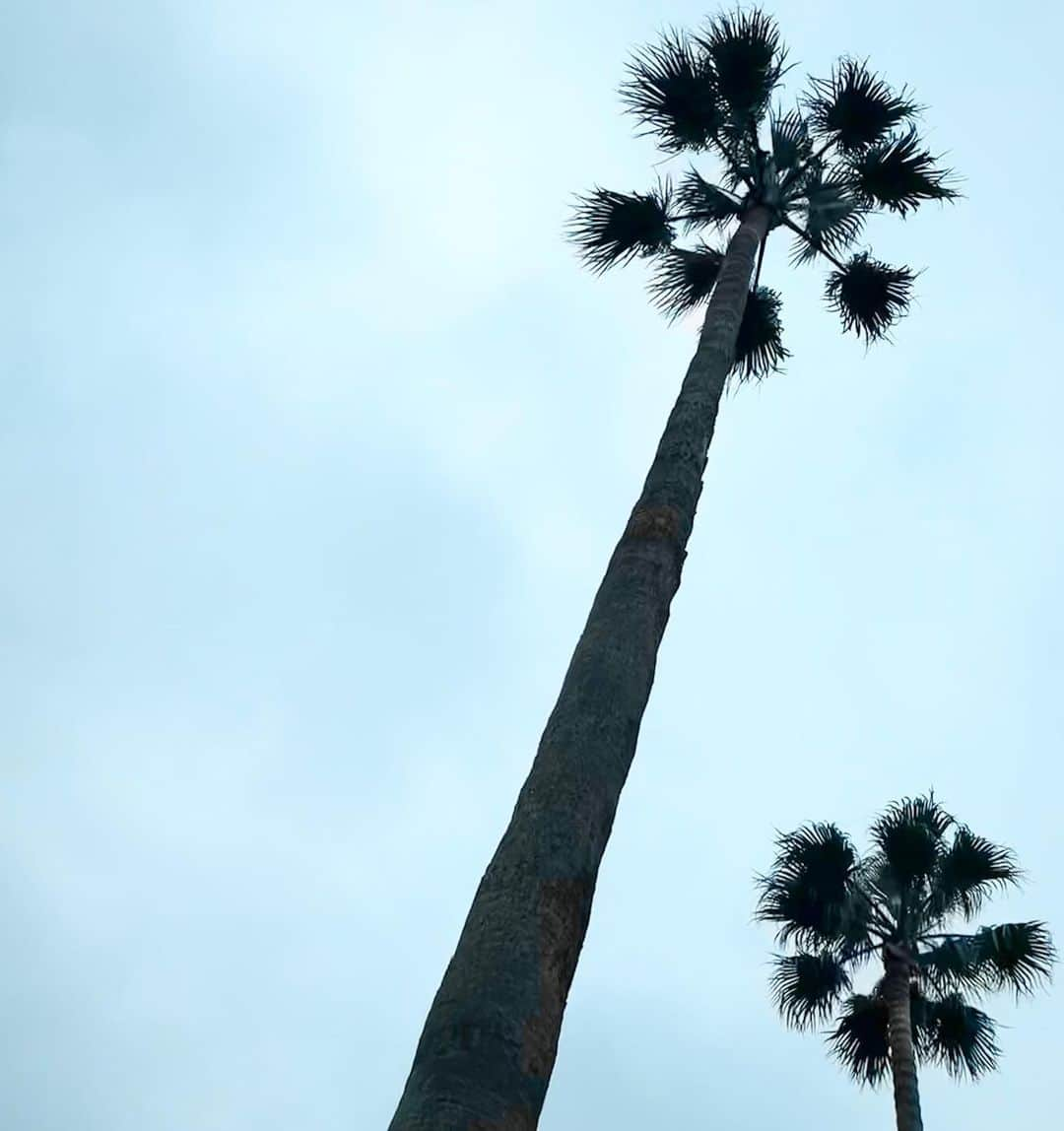 氷川きよしさんのインスタグラム写真 - (氷川きよしInstagram)「無事故で穏やかな  日曜日を🌥🌴  by Kiina  #氷川きよし #hikawakiyoshi #kii #kiina #kiinatural #キヨラー」5月15日 15時56分 - hikawa_kiyoshi_official