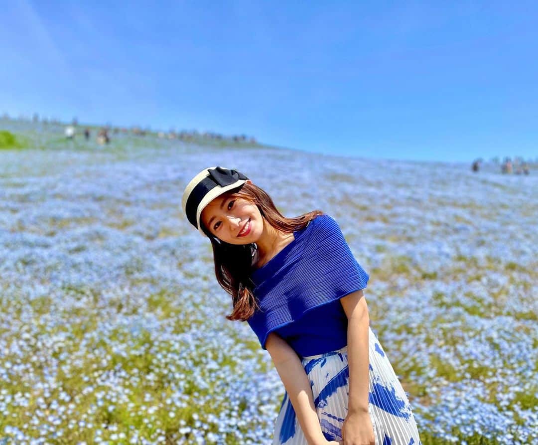 のインスタグラム：「🦋 . きょうも青色投稿🥺💙 #ネモフィラ #ひたち海浜公園」