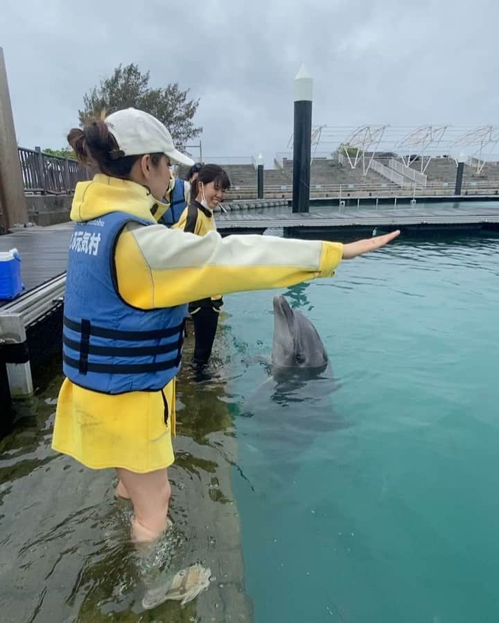 PINKYのインスタグラム：「イルカさんありがとう🐬❤️✨  ・・・  #love #happy #family #momlife #familytrip #dolphin #イルカとのふれあい 🐬」
