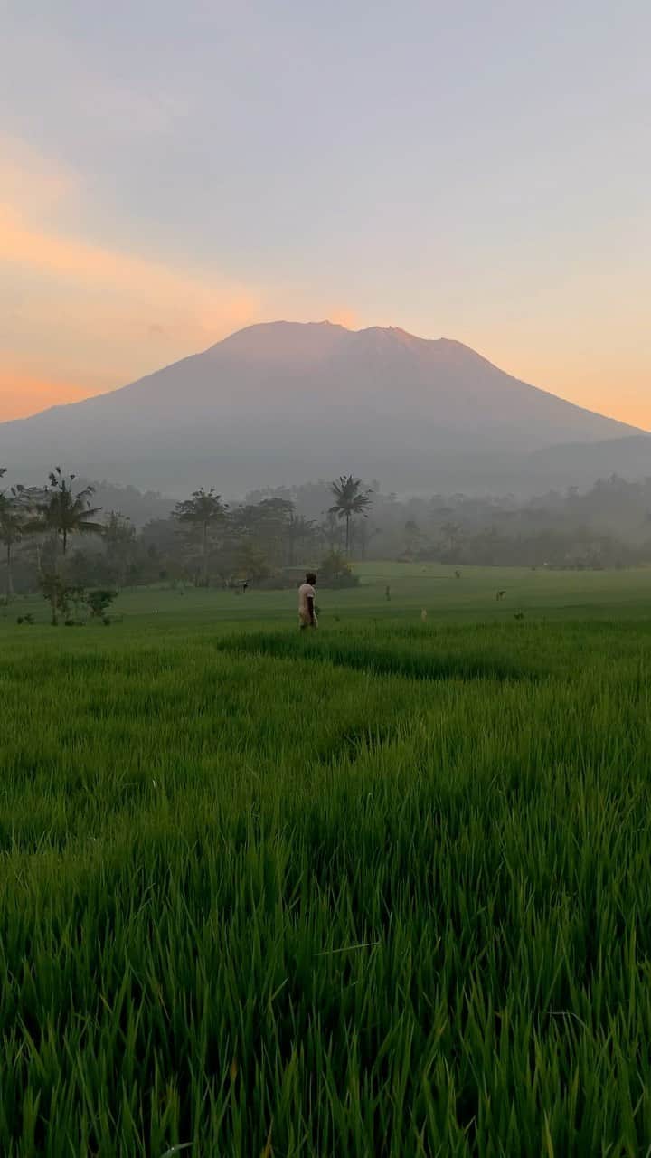 リリー＝ローズ・メロディのインスタグラム：「Majestic Agung in all it’s glory ( sound on! )✨」