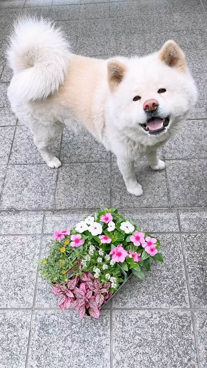 水谷雅子のインスタグラム