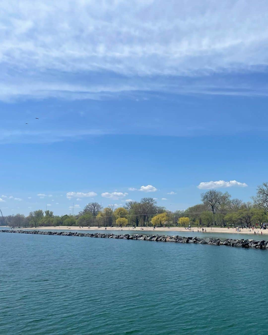 三浦璃来さんのインスタグラム写真 - (三浦璃来Instagram)「Toronto Island 🏝   #自転車で  #10キロ  #オフもトレーニング」5月16日 11時13分 - riku9111