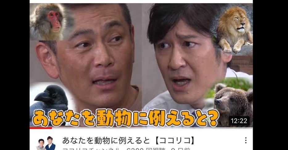 ココリコさんのインスタグラム写真 - (ココリコInstagram)「YouTube「ココリコチャンネル」毎週金曜日更新されています‼️ 毎作新作コントとなっておりますので是非ご覧下さい🤗♪ 先日はついにコラボ撮影してきました🫢✨✨あの方達と、、とても楽しい内容となっていますので、お楽しみに😆❣️  #ココリコ#遠藤章造#田中直樹#YouTubeチャンネル#ココリコYouTube#ココリコチャンネル#新作コント#コントチャンネル#コラボ#犯人は奥飛騨にいる#動物に例えると#奥飛騨#拡散希望」5月16日 12時53分 - cocorico_staff