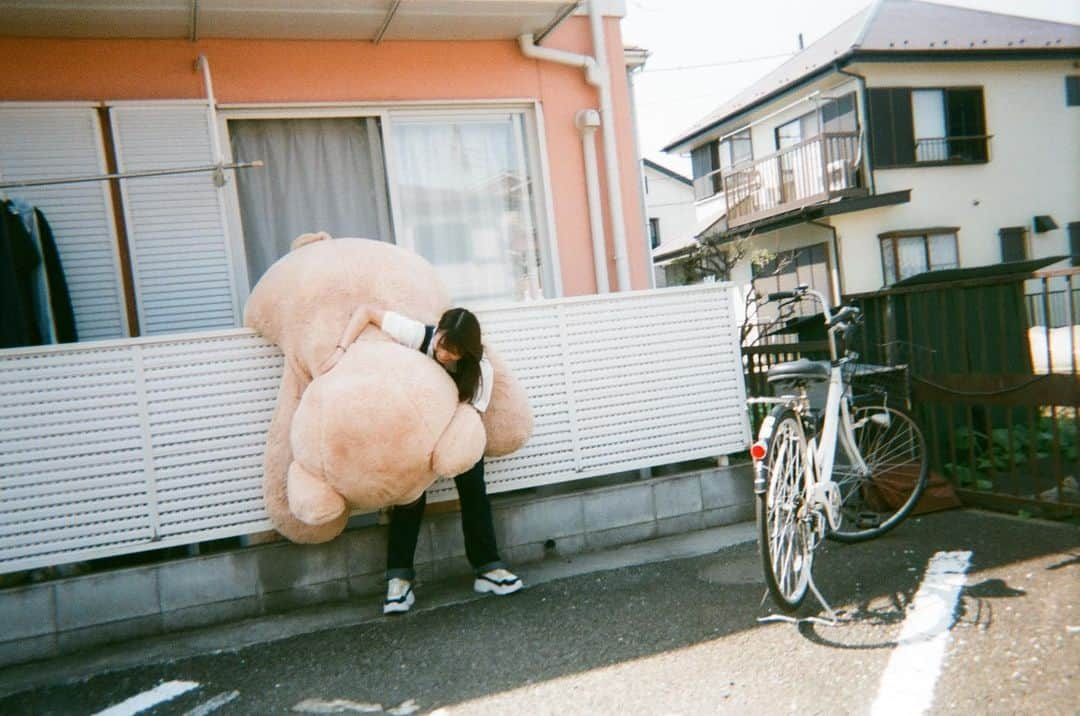 marupiさんのインスタグラム写真 - (marupiInstagram)「#紫陽花  #きゃない さん #写ルンです」5月16日 18時49分 - marupi_8989