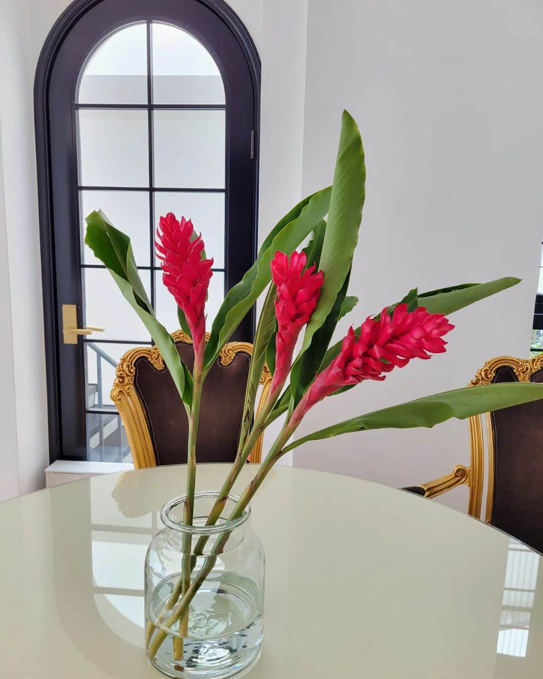 三喜本惠美さんのインスタグラム写真 - (三喜本惠美Instagram)「・ 南国の植物が好き過ぎて シンボルツリーにもしている我が家ですが 今週のお花は #レッドジンジャー 大好きな植物です(^-^)」5月16日 20時48分 - megumi_mikimoto