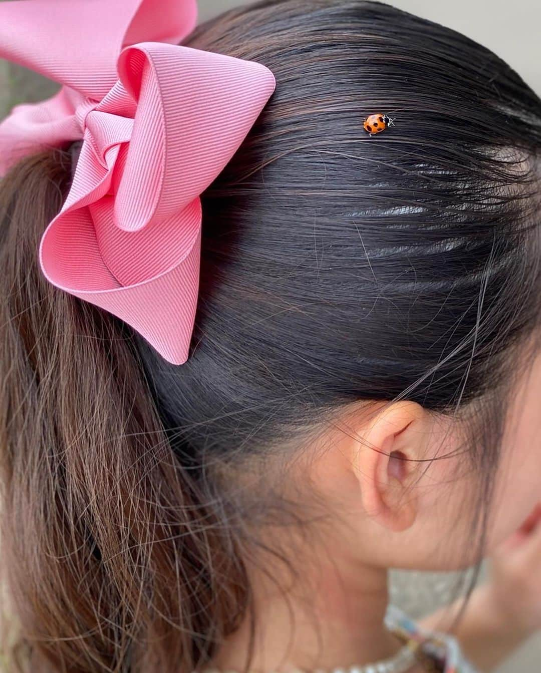 SEIRAさんのインスタグラム写真 - (SEIRAInstagram)「🐞🐞🐞🐞🐞 てんとう虫が娘のところへやってきて、 てんとう虫のピアスに✨‼️」5月16日 23時00分 - official.seira