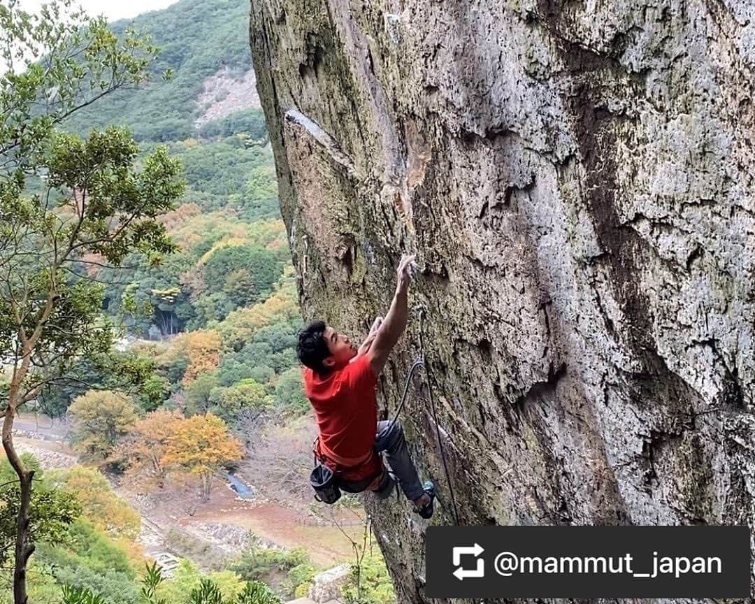 杉本怜のインスタグラム：「Congratulations on the 160th anniversary of MAMMUT🎉 I pray for your long-term development in the future! @mammut_japan  @mammut_swiss1862   ------------  国内外のクライミング大会で数々の輝かしい実績を残し、長年に渡りマムートの看板クライマーとして活躍。現在もコンペティションを盛り上げるプロクライマー杉本怜さんより、マムート１６０周年のお祝いメッセージをいただきました。   「160周年おめでとうございます。MAMMUTは長い歴史の中で成熟し確固たる地位を築いているにもかかわらず、時代の流れを受けつつ独自のスタイルを切り開く姿にいつも良い刺激をいただいております。私は約10年間をMAMMUTと共に過ごしました。これからも共に成長していきましょう。」   プロクライマー 杉本 怜 / Rei Sugimoto   様々な著名人の皆様にマムートへのメッセージをいただいており、随時160周年特設サイト上に更新してまいりますので、ぜひご覧ください。 https://www.mammut.jp/topics/160th-anniversary?p_tbn   #mammut_swiss1862 #mammut_japan #mammut #マムート #クライミング #登山 #アウトドア #マムート160years #杉本怜 @odenpyon」