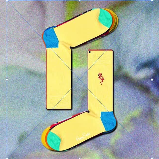 Happy Socksのインスタグラム