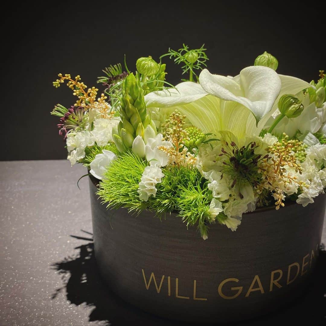 畑野ひろ子さんのインスタグラム写真 - (畑野ひろ子Instagram)「マットな鉄製花器に、カラーやオーニソガラム、ニゲラ、ダイアンサスなどの白✖️グリーンでまとめたアレンジ。  #flowers #arrangement #lifestyle #life #gift #willgarden」5月17日 15時05分 - hiroko_hatano_
