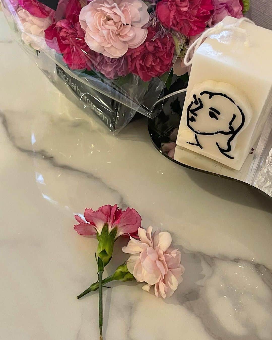 小澤美里さんのインスタグラム写真 - (小澤美里Instagram)「_  ある日らむねが 引き抜いてしまった お花の置き方が優しすぎて プレゼントしてくれたんだね。 と、勘違いを引き起こした日💐  #かっっ！？かわいい。」5月17日 17時40分 - misatooozamisa