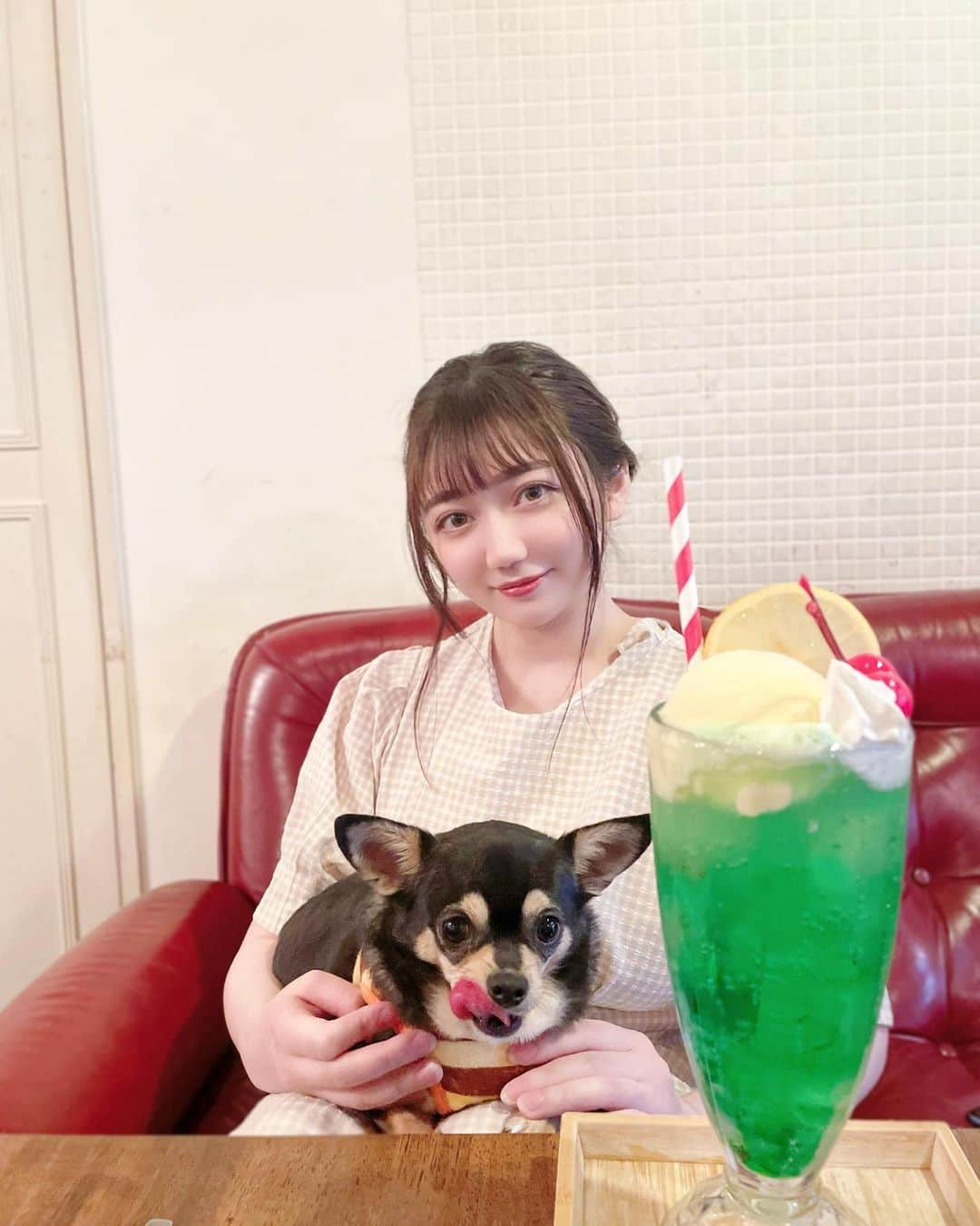 のインスタグラム：「めろんそーだ。🍨🍈💚」
