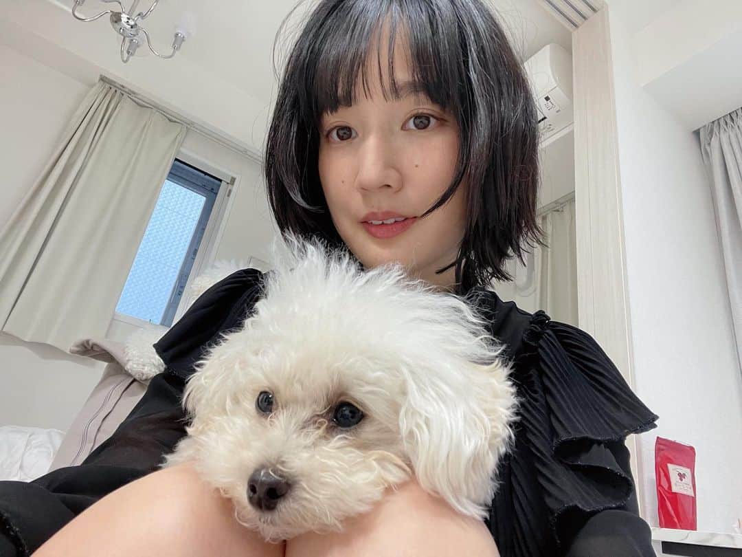 高嶋香帆のインスタグラム：「愛しのおっち。 後ろにちらっとりんちゃん🥰」