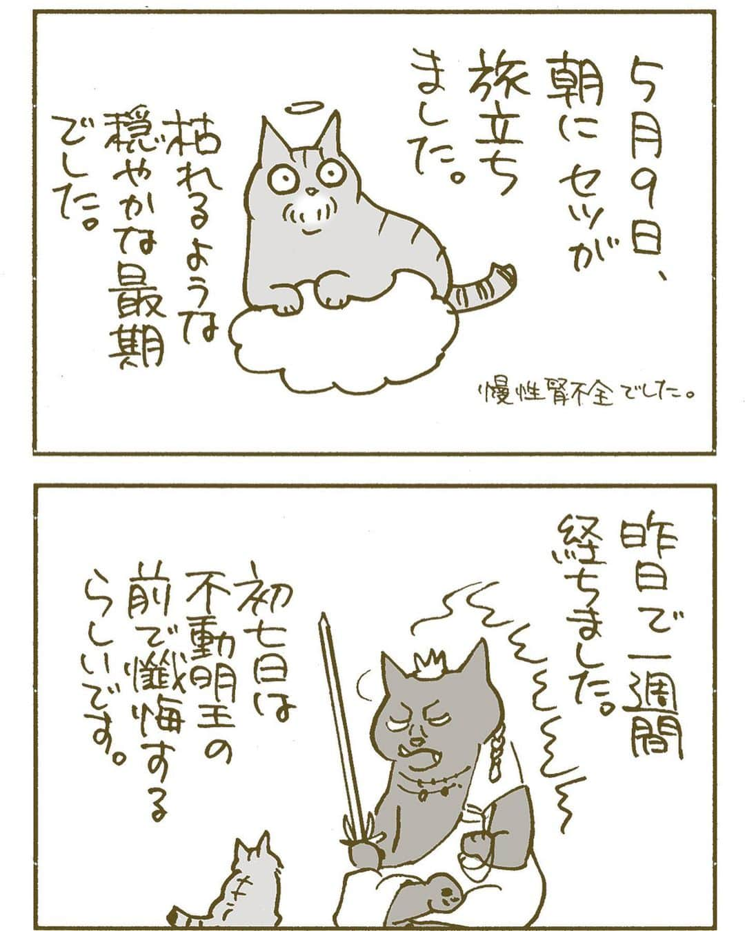 くるねこ大和のインスタグラム