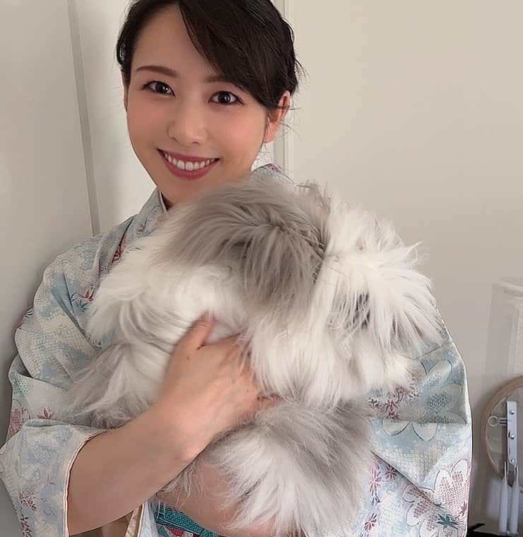 玉木碧さんのインスタグラム写真 - (玉木碧Instagram)「うちの子大きい🥺🐰  #うさぎ #イングリッシュアンゴラ #ライオンラビット #ハーフ #長毛種 #愛兎 #生まれた時から #出産も立ち会いました #こんなに大きくなって🥺 #産まれた時は50gだったのに #今はおよそ1.6kg #見た目より軽いのよ #毛でカサ増し  #他の子もみんな元気だよ！ #モフアルの娘 #リオンちゃん」5月18日 9時13分 - tamaki_aoi.official