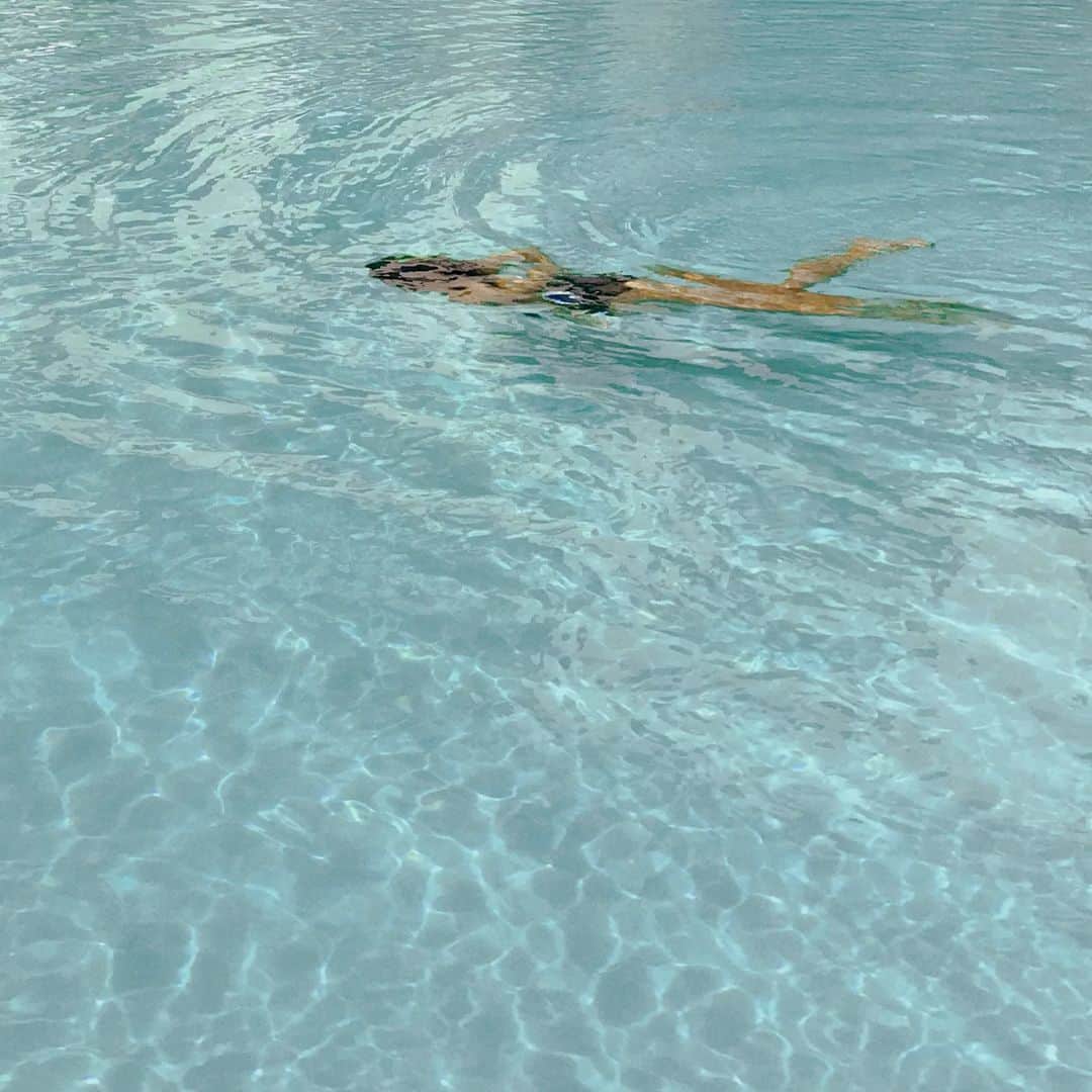 Yoshiko Kris-Webb クリス-ウェブ佳子さんのインスタグラム写真 - (Yoshiko Kris-Webb クリス-ウェブ佳子Instagram)「今日の天気、泳ぎたし🌊」5月18日 14時23分 - tokyodame