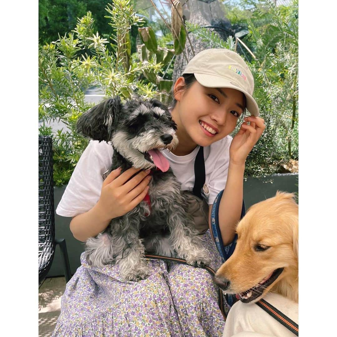 小野莉奈のインスタグラム：「・ ・ 最近のことシリーズ②  散歩🐾😙  これはわんこのためにやってた事だけど、最近は自分のためにもやるようになったよ🐾 散歩をすると自分の中にあるモヤモヤした気持ちが解消されたり、今日も一日を大事にしようって思えるんだー😌  あと！葉っぱの色とか吹いてくる風の温度で季節の変化を感じるようになったよ😬 でも雨の日散歩はちょっと面倒くさいってなるけど🤣  犬の歩く後ろ姿が好きなんだけど、これ共感する人いるかな？🙄🐾  #犬」