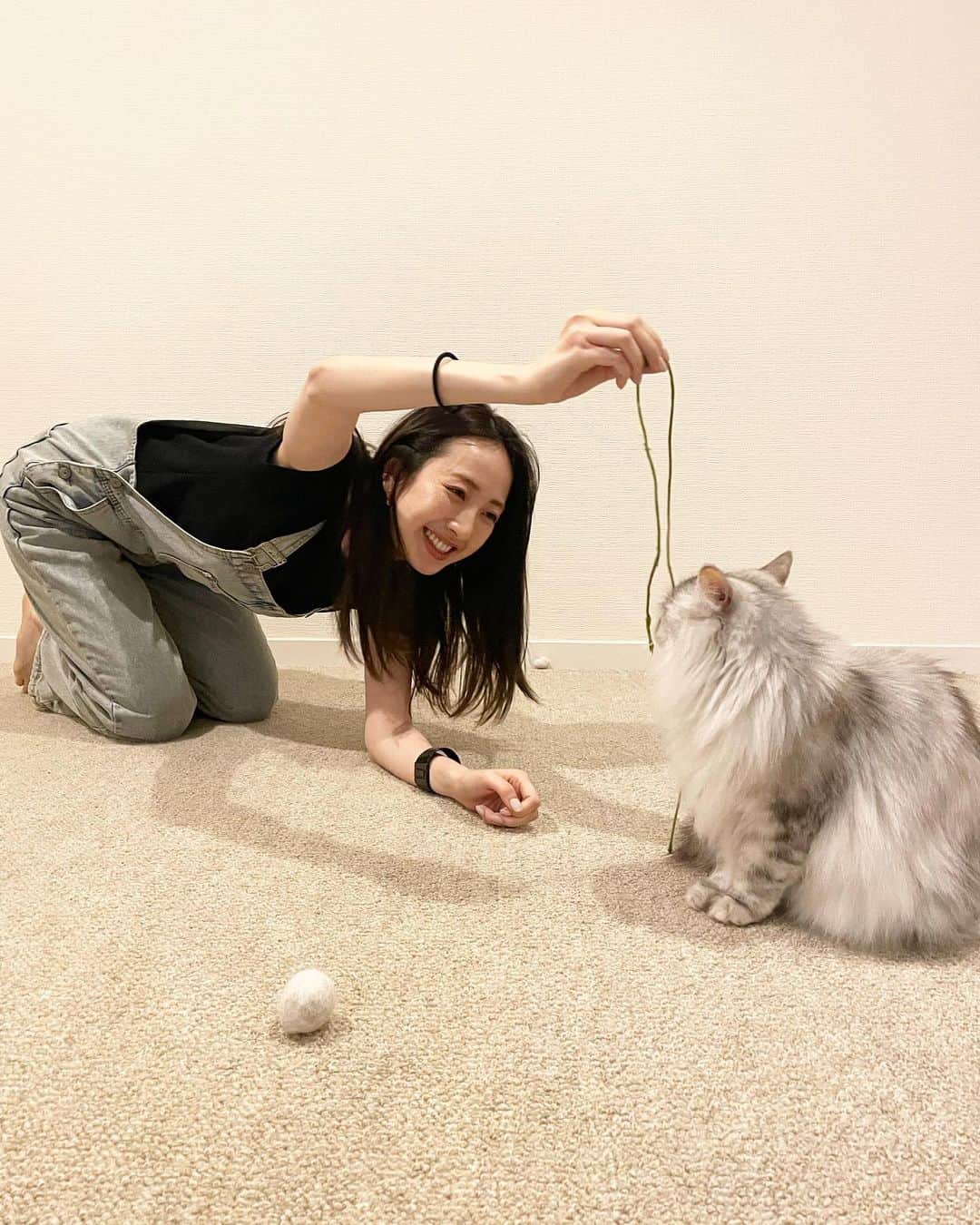 團遥香さんのインスタグラム写真 - (團遥香Instagram)「幼馴染のかなちゃん家でゴロゴロ〜 実は猫アレルギーなんだけど... うみそらだけは大丈夫😼 不思議だね〜  なんか3.4枚目一緒になっちゃった。笑 ごめんなさい。笑」5月18日 20時21分 - haruka_dan_official